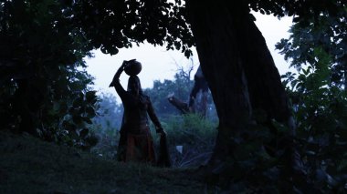 Silhouette at Tree in the forest
