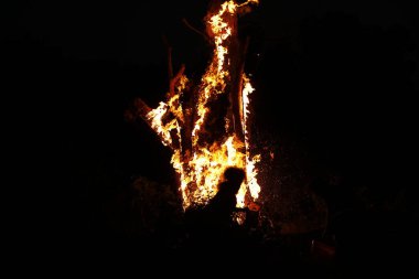 Ormanda Ağaç Yanması