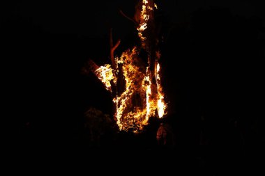 Ormanda Ağaç Yanması