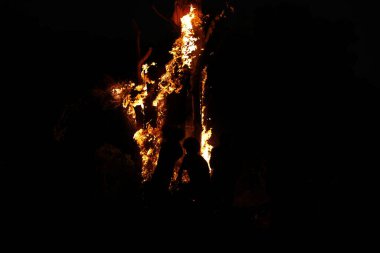 Ormanda Ağaç Yanması