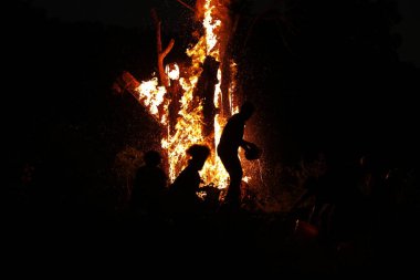 Tree Burn in the Forest