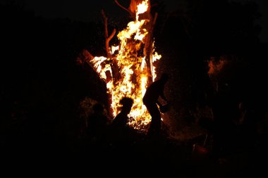 Ormanda Ağaç Yanması