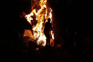 Tree Burn in the Forest
