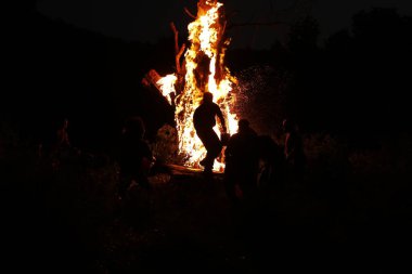 Tree Burn in the Forest