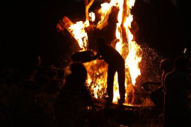 Tree Burn in the Forest