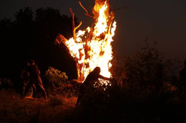 Tree Burn in the Forest