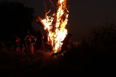 Tree Burn in the Forest