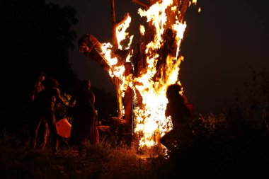 Tree Burn in the Forest
