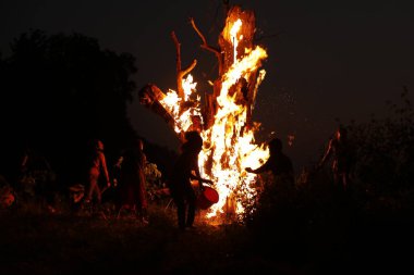 Ormanda Ağaç Yanması