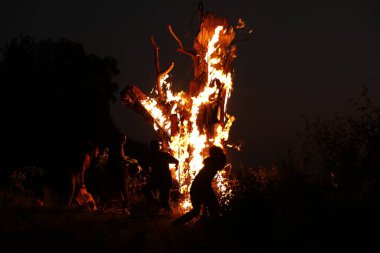 Ormanda Ağaç Yanması