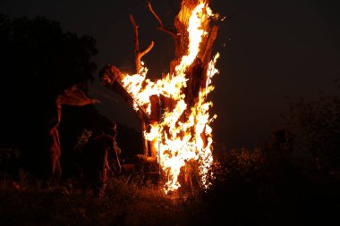 Ormanda Ağaç Yanması