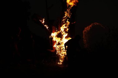 Ormanda Ağaç Yanması