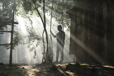 Güneş Ağaçların Arasında Işınlar