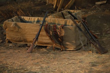 Weapons Collected From Rebels in the Forest India