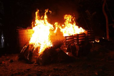 Drugs Burning in the Forest