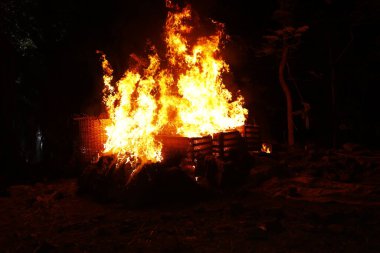Drugs Burning in the Forest