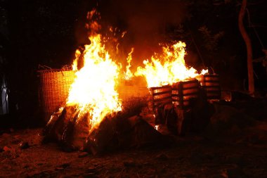 Drugs Burning in the Forest