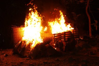 Drugs Burning in the Forest