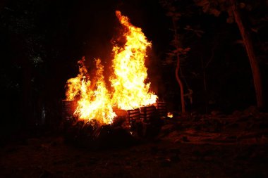 Drugs Burning in the Forest