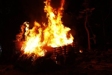 Drugs Burning in the Forest