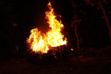 Drugs Burning in the Forest