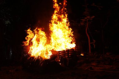 Drugs Burning in the Forest