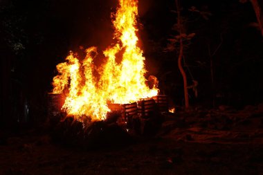 Drugs Burning in the Forest