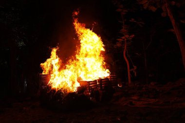 Drugs Burning in the Forest