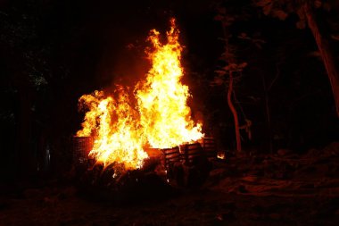 Drugs Burning in the Forest