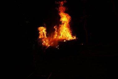 Drugs Burning in the Forest