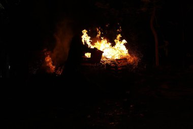 Drugs Burning in the Forest