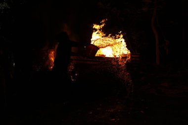 Drugs Burning in the Forest