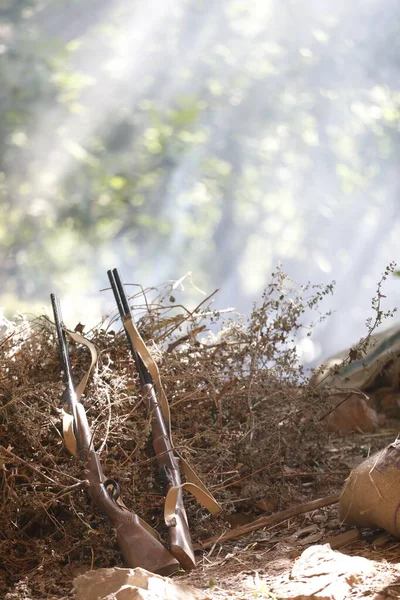 Senjata Dikumpulkan Dari Rebels Hutan India — Stok Foto