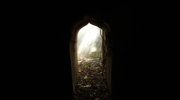 Smoke Abandoned Door Forest — 图库照片