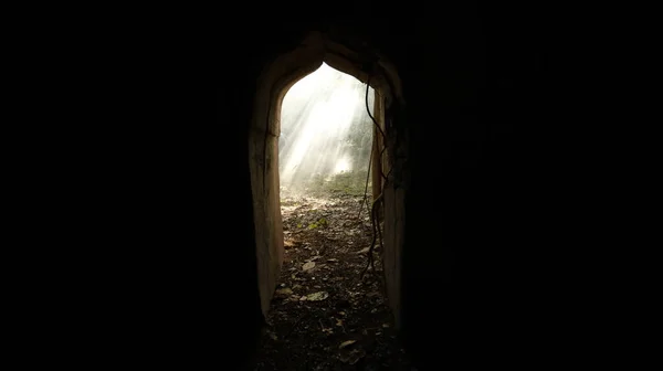 Smoke at abandoned door Forest