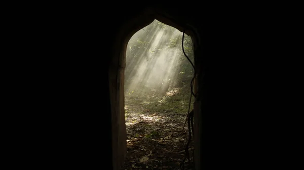 Smoke Abandoned Door Forest — Stock fotografie