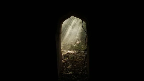 Smoke Abandoned Door Forest — Zdjęcie stockowe