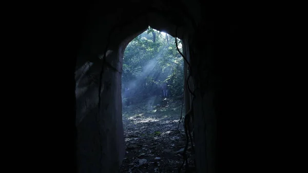 Smoke Abandoned Door Forest — Φωτογραφία Αρχείου