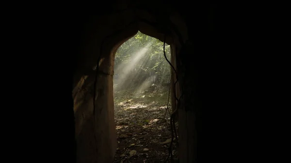 Smoke at abandoned door Forest