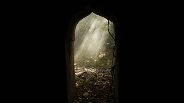 Smoke Abandoned Door Forest — Zdjęcie stockowe