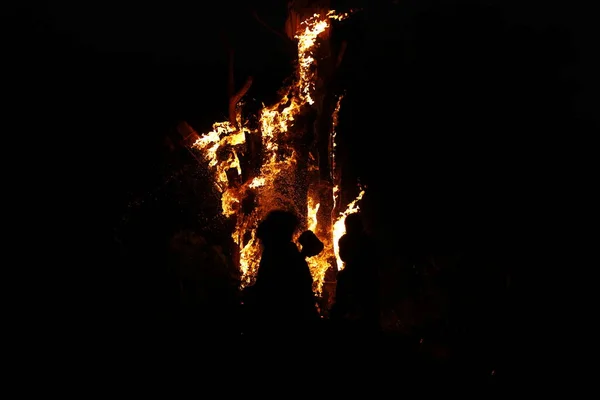 Tree Burn Forest — стоковое фото