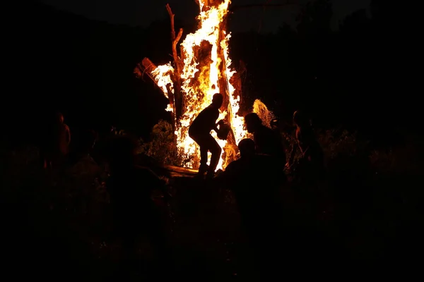 Tree Burn Forest — Stock Photo, Image