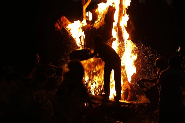Tree Burn in the Forest