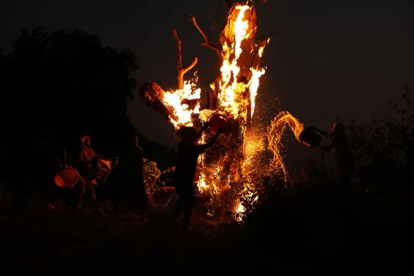 Tree Burn Forest — Zdjęcie stockowe