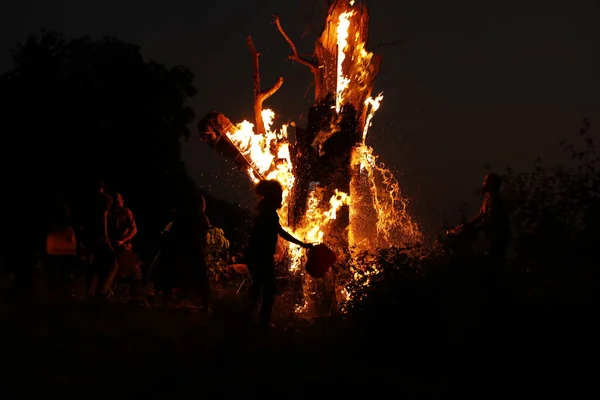 Tree Burn Forest — Fotografie, imagine de stoc