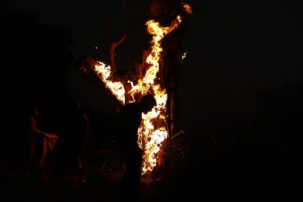 Tree Burn Forest — 图库照片