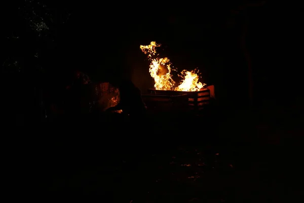 Tree Burn Forest — Stock Photo, Image