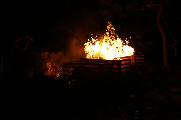 Drugs Burning Forest — Stock Photo, Image