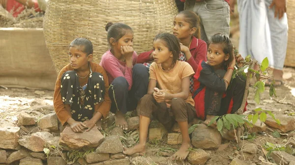 Young Indian Girls Waching — стоковое фото