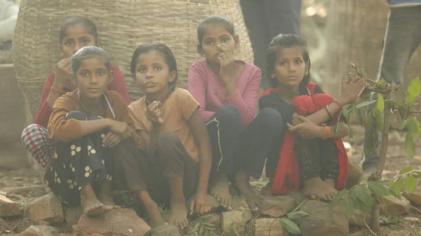 Young Indian Girls Waching — Stockfoto